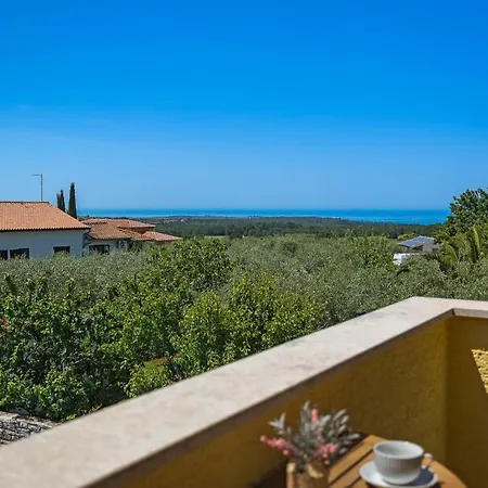 Lara Villa